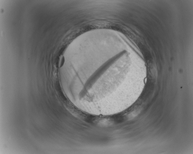 X0000079340507200612151911