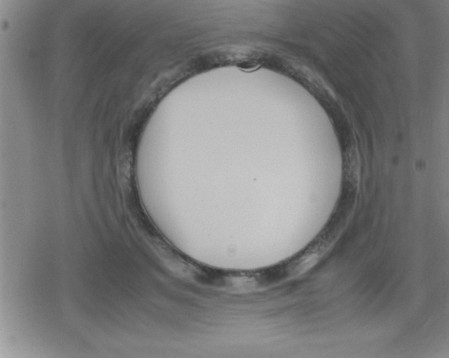 X0000079340509200612151911