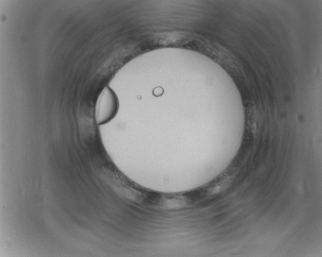 X0000079340510200612151911