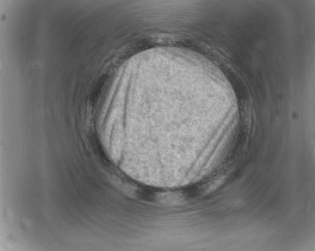 X0000079340511200612151911