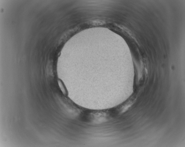 X0000079340512200612151911