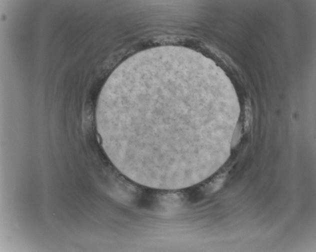 X0000079340513200612151911