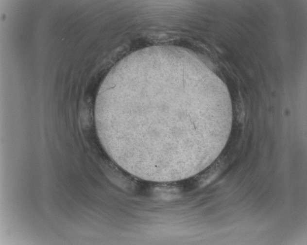 X0000079340515200612151911