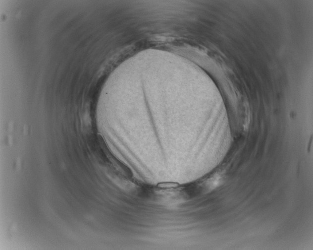 X0000079340516200612151911