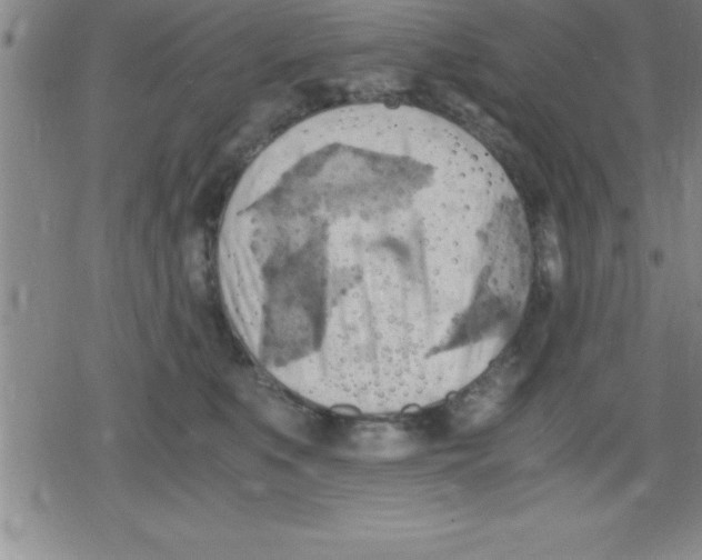 X0000079340519200612151911