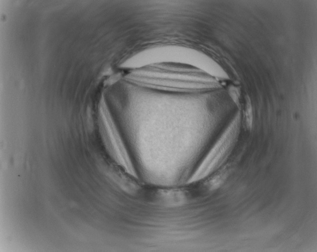 X0000079340520200612151911