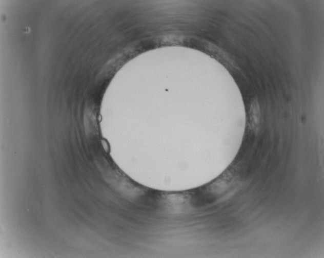 X0000079340522200612151911