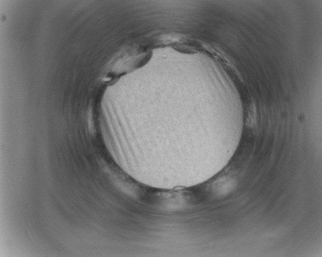 X0000079340524200612151911