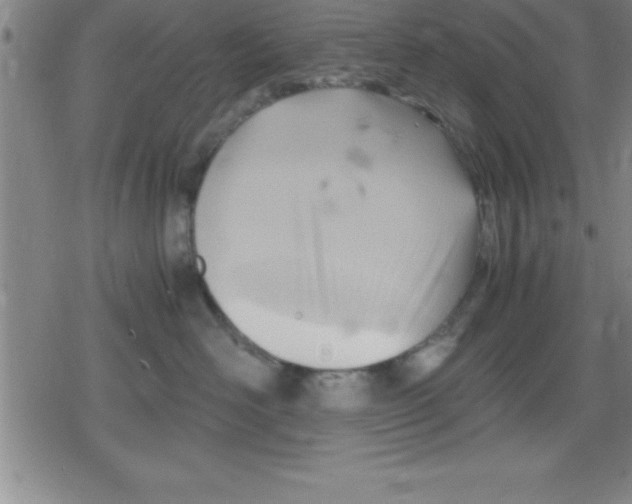 X0000079340526200612151911