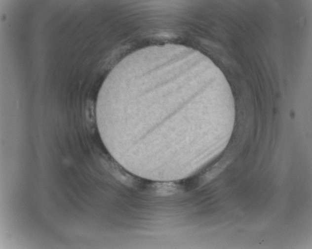 X0000079340528200612151911