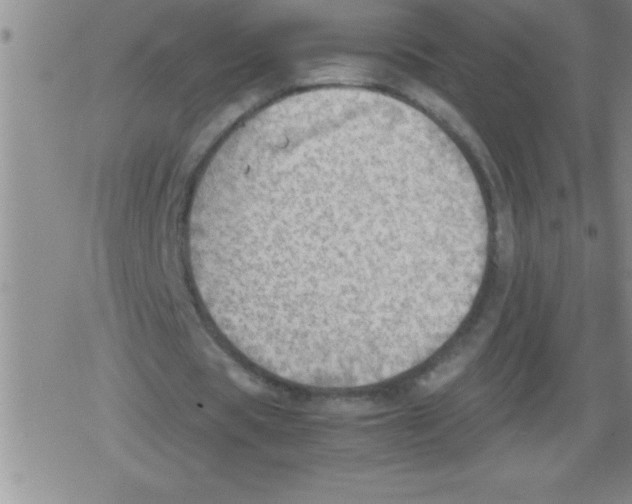 X0000079340529200612151910