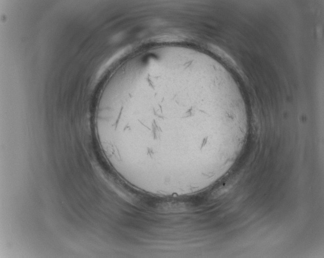 X0000079340535200612151910