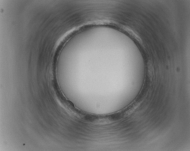 X0000079340536200612151910