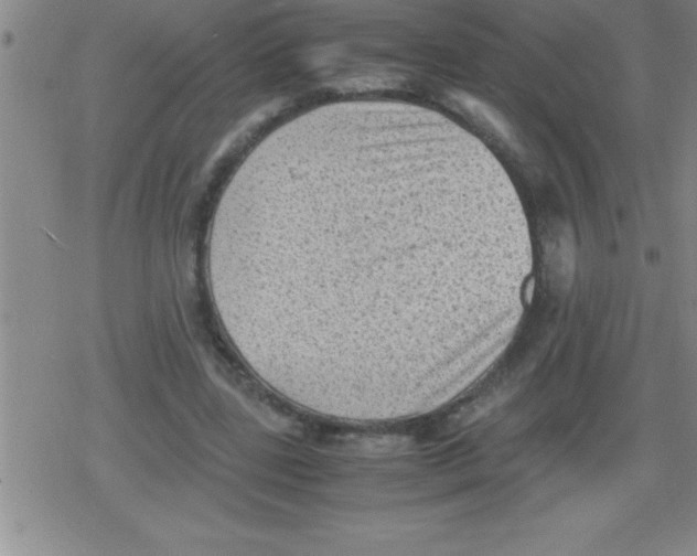 X0000079340539200612151910