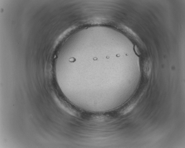 X0000079340540200612151910