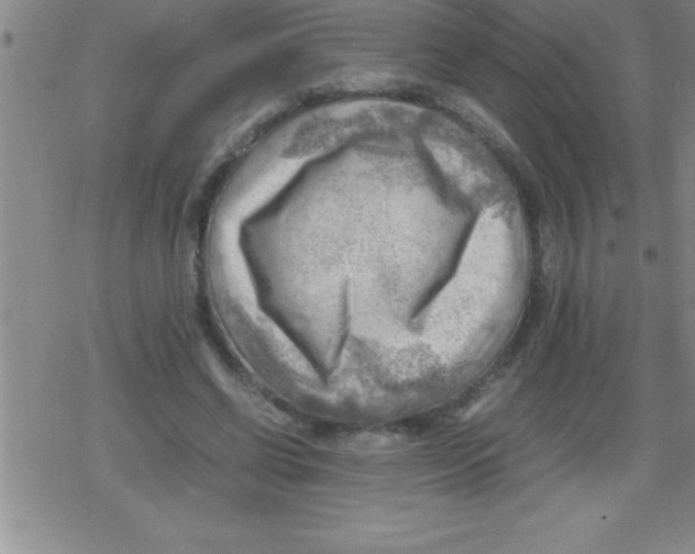 X0000079340542200612151910