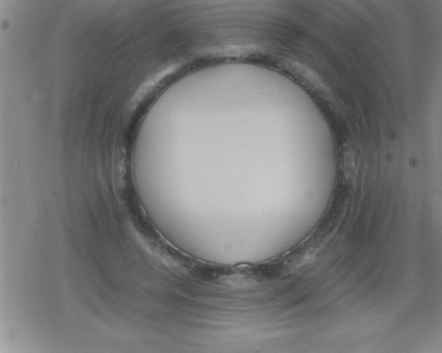 X0000079340544200612151910