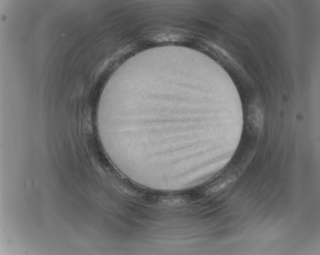 X0000079340547200612151910