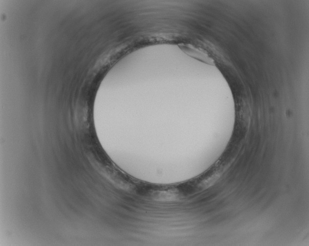 X0000079340548200612151910