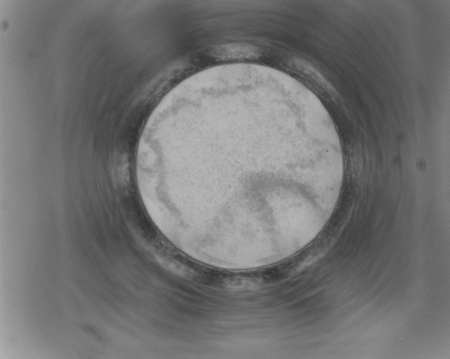 X0000079340549200612151910