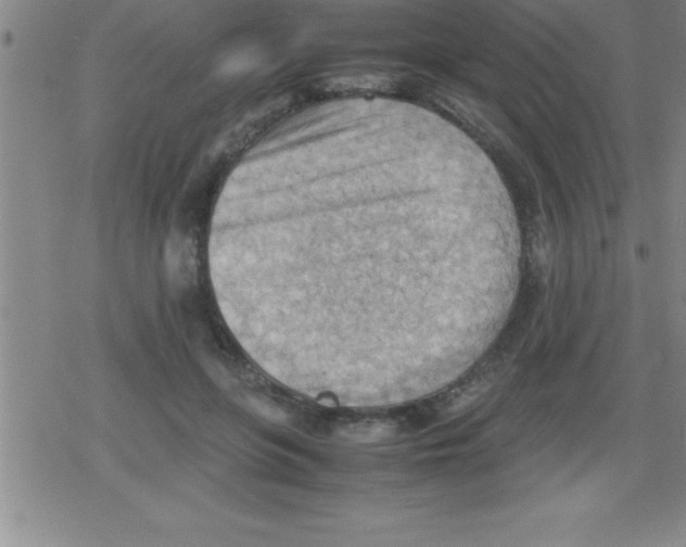 X0000079340551200612151910