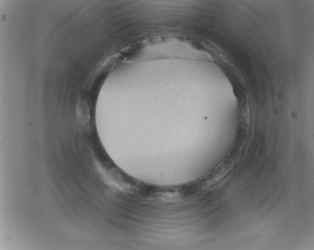 X0000079340552200612151910