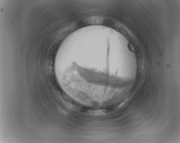 X0000079340553200612151910