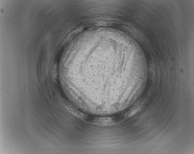 X0000079340554200612151910