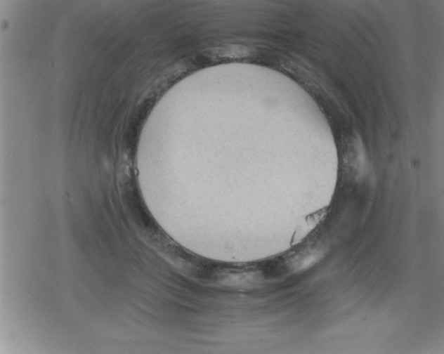 X0000079340555200612151910