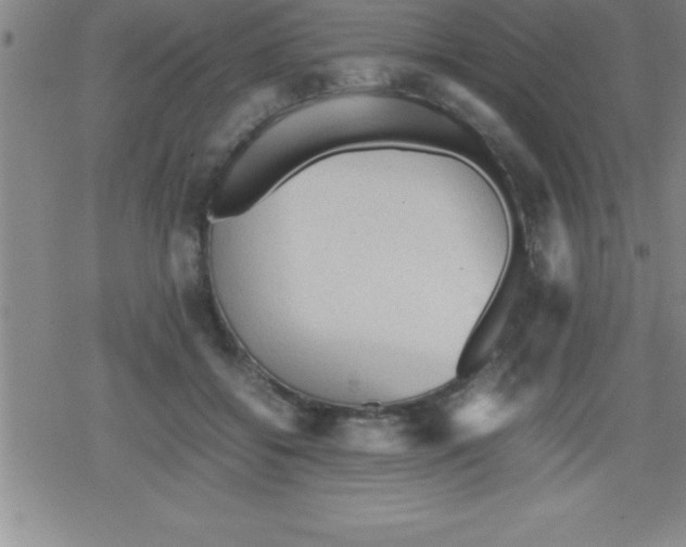 X0000079340556200612151910