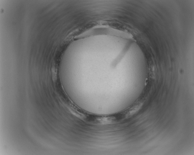 X0000079340558200612151910