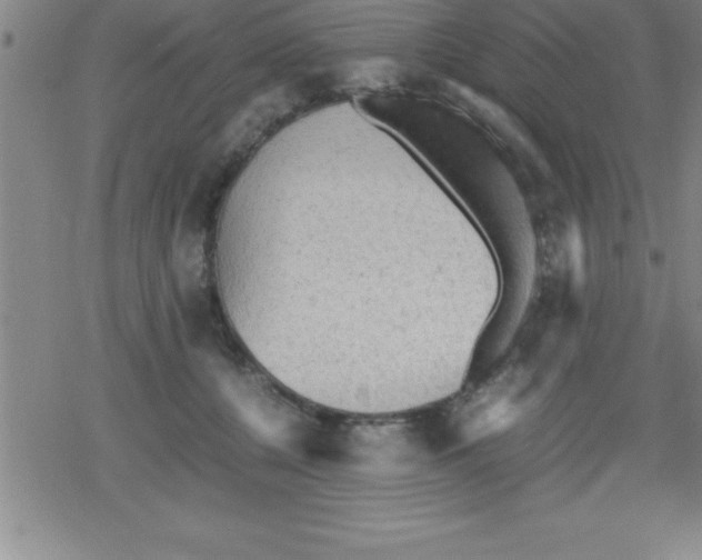 X0000079340560200612151910