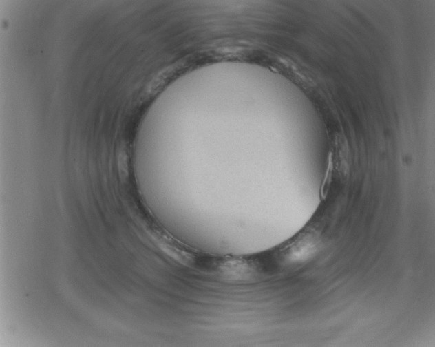 X0000079340562200612151910