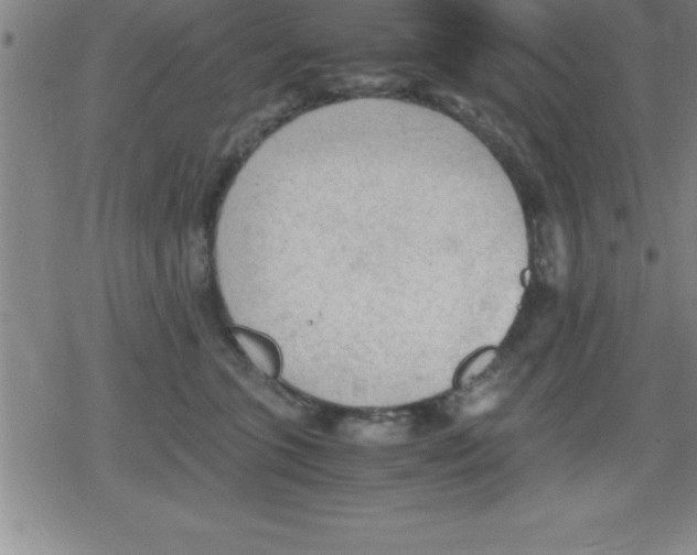 X0000079340563200612151910