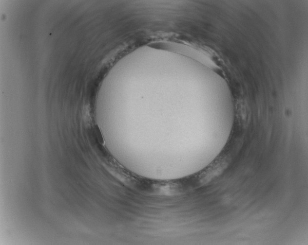 X0000079340564200612151911