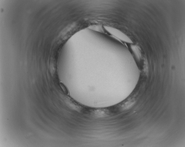 X0000079340566200612151911