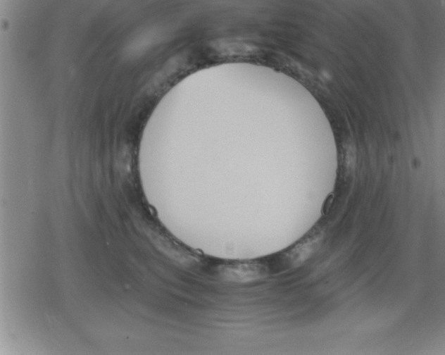 X0000079340567200612151911