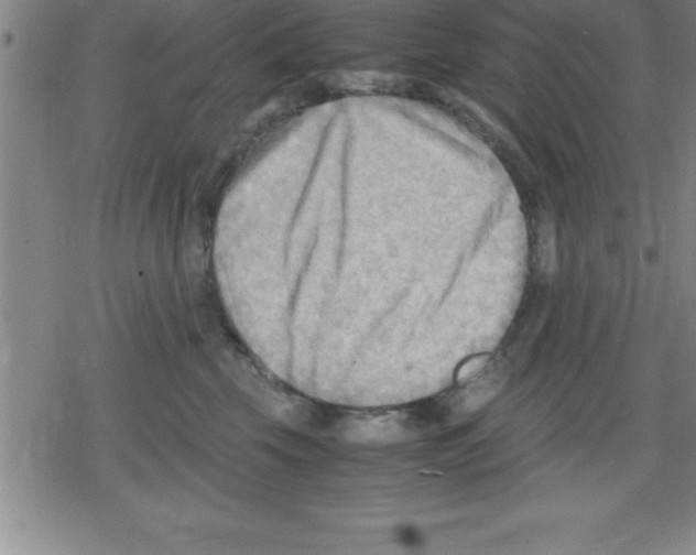 X0000079340569200612151911