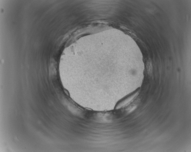 X0000079340570200612151911