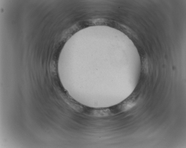 X0000079340571200612151911