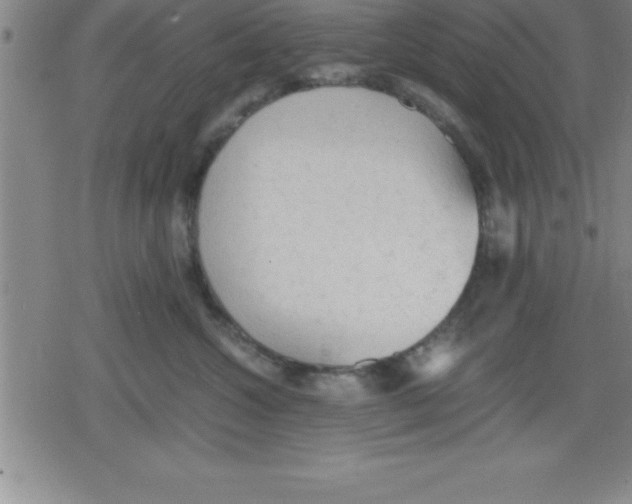 X0000079340572200612151911