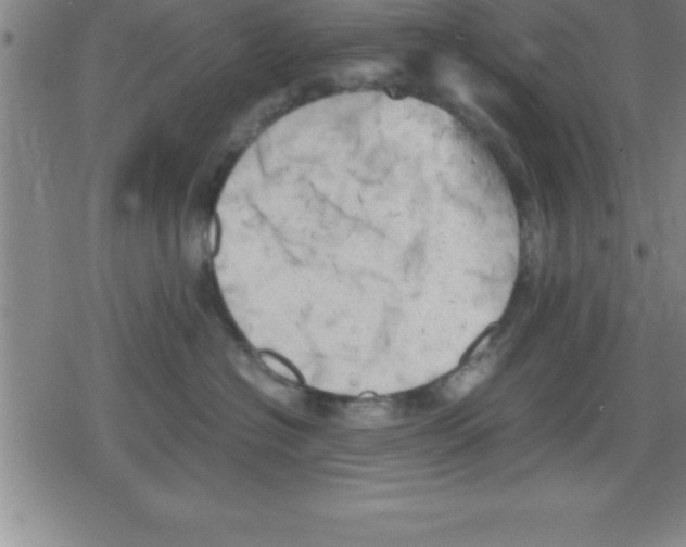 X0000079340574200612151911