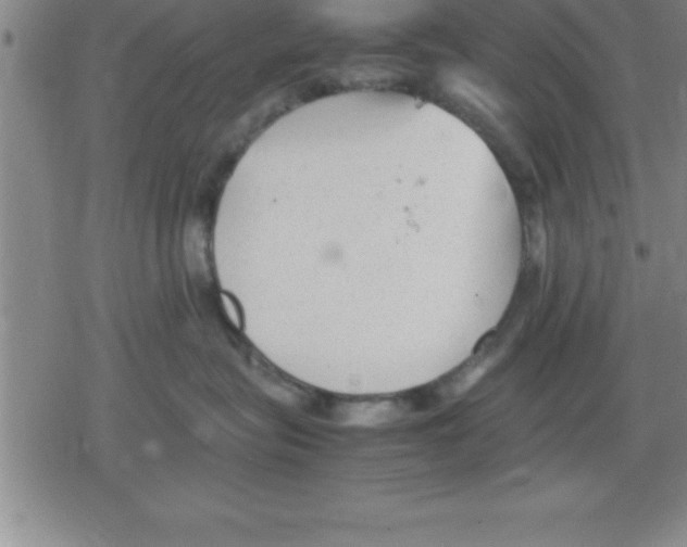 X0000079340575200612151911