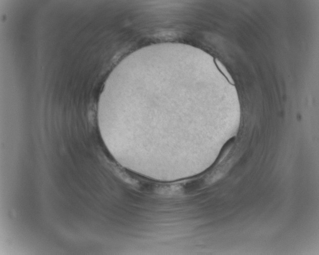 X0000079340576200612151911