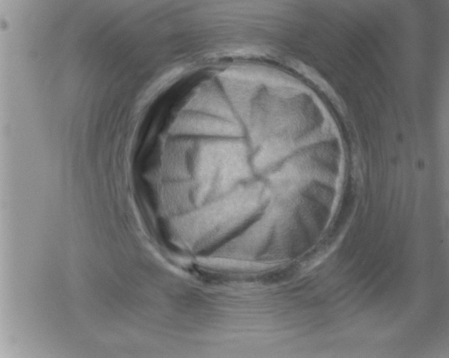 X0000079340577200612151910