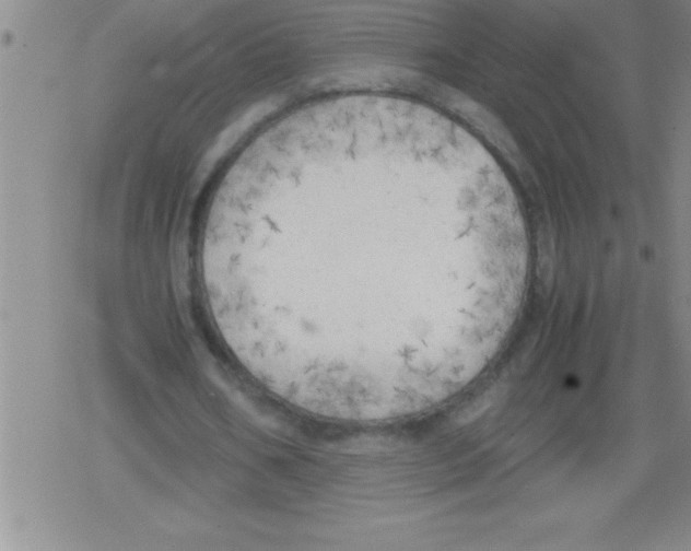 X0000079340578200612151910