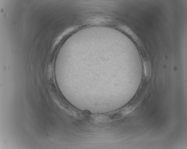 X0000079340579200612151910