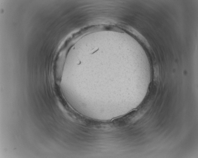 X0000079340580200612151910