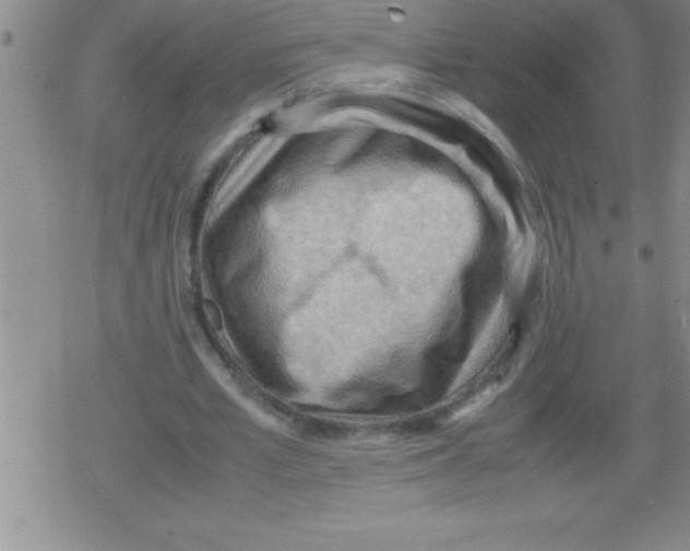 X0000079340581200612151910