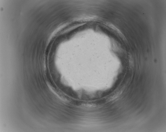 X0000079340582200612151910